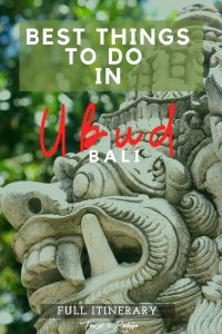 Best things to do in Ubud, Bali - pin2